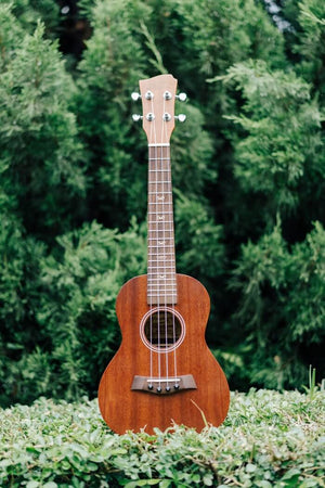 UKM1 Solid Mahogany Wood Concert Ukulele