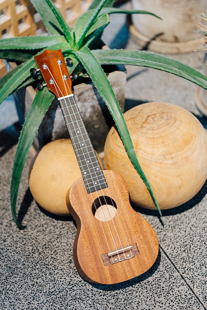 UKS1 Sapele Wood Soprano Beginner Ukulele