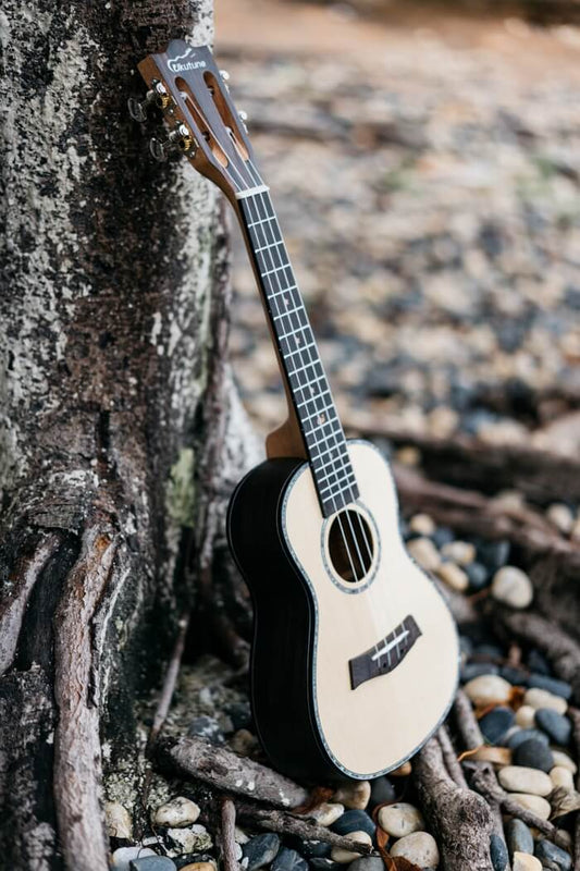 UKE1 Solid Spruce Wood Concert Ukulele