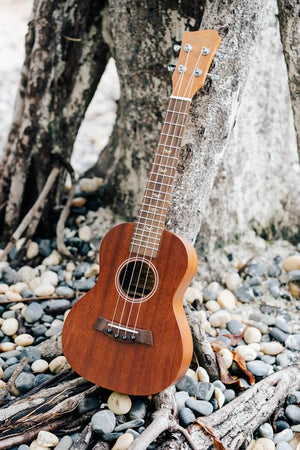 UKM1 Solid Mahogany Wood Concert Ukulele