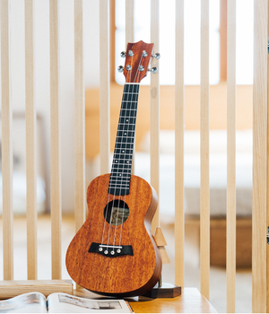 UKM2 Mahogany Wood Concert Ukulele